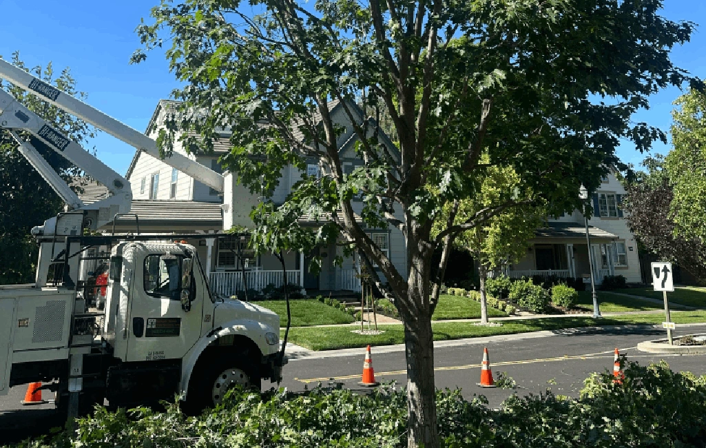 ezgif.com-jpg-to-webp-converter (7)