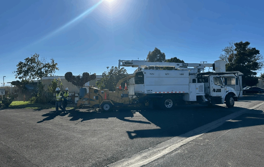 ezgif.com-jpg-to-webp-converter (9)