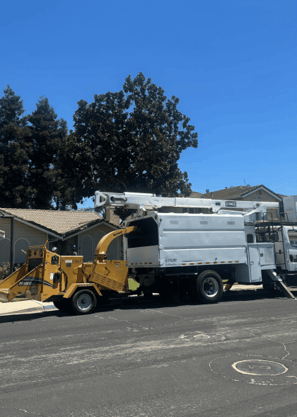 image - 2025-12-01T141234.469